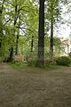 tannenfeld-sommer 2012-046